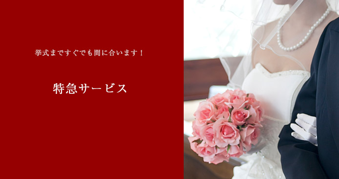 席次表・プロフィールビデオ特急サービス